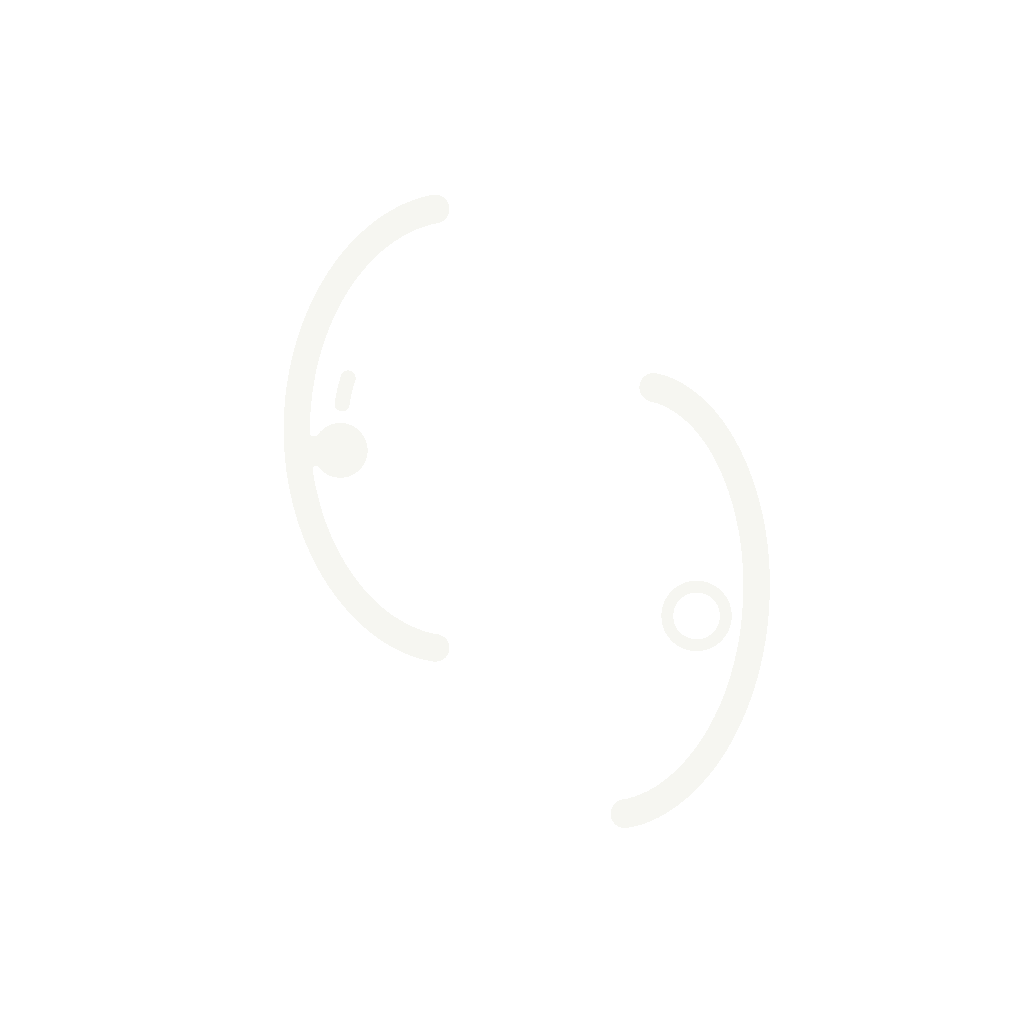 World Mirror, a Transurfing Navigator instrument: a source mark and its delayed echo across a mirror line
